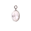 Swarovski Crystal Oval Charm (Diamondique - APRIL) Swarovski Crystal Oval Charm (Diamondique - APRIL)