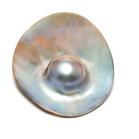 Oblong Mabe Pearl, just the pearl, no kit Oblong Mabe Pearl, just the pearl, no kit