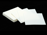 Pro Polish Pad (pack of 10) Pro Polish Pad (pack of 10)