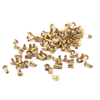 Assorted Brass Tubular 1/16" Rivets Assorted Brass Tubular 1/16" Rivets