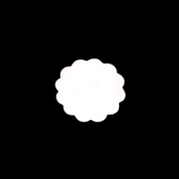 Sterling Silver Medium 12 Petal Flower Blank, 24g Sterling Silver Medium 12 Petal Flower Blank, 24g