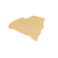 Brass South Carolina State Blank, 24g Brass South Carolina State Blank, 24g