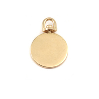 Brass Small Circle Swivel Pendant Brass Small Circle Swivel Pendant