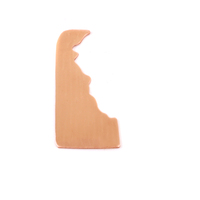 Copper Delaware State Blank, 24g Copper Delaware State Blank, 24g