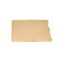 Brass North Dakota State Blank, 24g Brass North Dakota State Blank, 24g