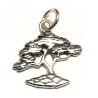 Sterling Silver Bonsai Tree Charm Sterling Silver Bonsai Tree Charm