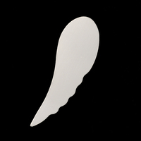 Sterling Silver Wing, 24g Sterling Silver Wing, 24g