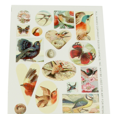 Bird_sheet_top