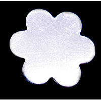 Ss066