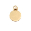 Brass Small Circle Swivel Pendant Brass Small Circle Swivel Pendant